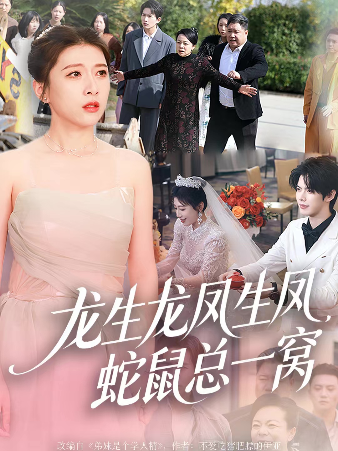 龙生龙凤生凤，蛇鼠总一窝(全集)